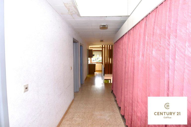3134_26912.jpg