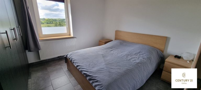 3146_27066.jpg