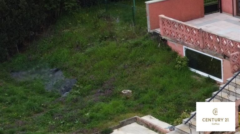 4227_28529.jpg