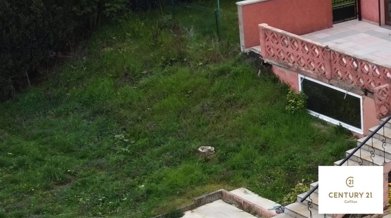 4227_28530.jpg